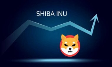 Shiba Inu (SHIB) : La 12e plus grande cryptomonnaie maintient son cap !