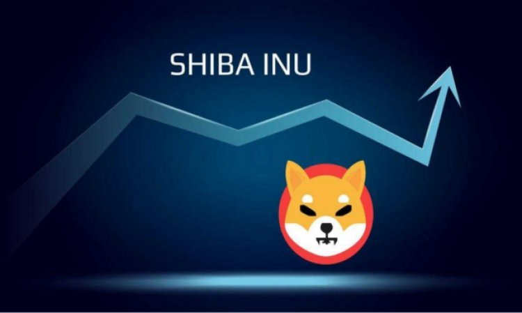 Shiba Inu (SHIB) : La 12e plus grande cryptomonnaie maintient son cap !