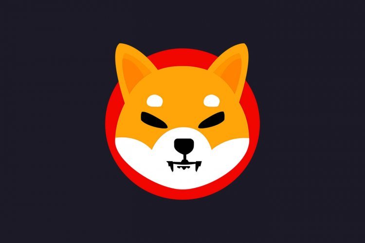 Shiba Inu (SHIB) : La 12e plus grande cryptomonnaie maintient son cap !