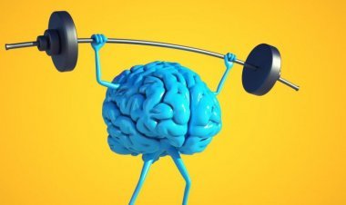 Maintenir le cerveau  en bonne santé : 10 conseils pour vous aider.