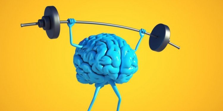 Maintenir le cerveau  en bonne santé : 10 conseils pour vous aider.