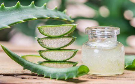 La face cachée de l'aloe vera.