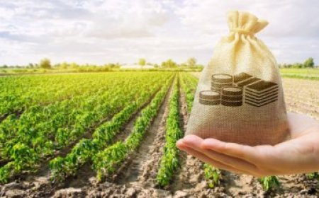 L'importance de l'agriculture dans l'économie Haïtienne