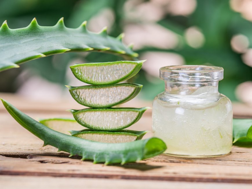 La face cachée de l'aloe vera.
