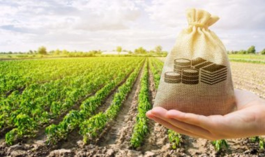 L'importance de l'agriculture dans l'économie Haïtienne