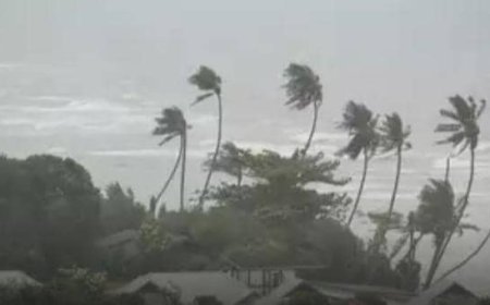 Les cyclones qui ont marqué l'histoire