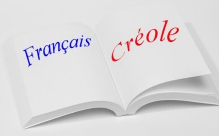 Enpak lang fransè genyen sou aprantisaj elèv lekòl yo ann Ayiti