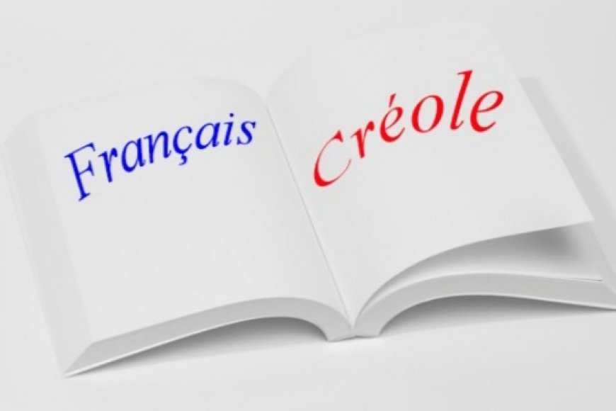Enpak lang fransè genyen sou aprantisaj elèv lekòl yo ann Ayiti